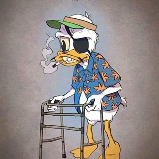 1 Old Donald Duck.jpg